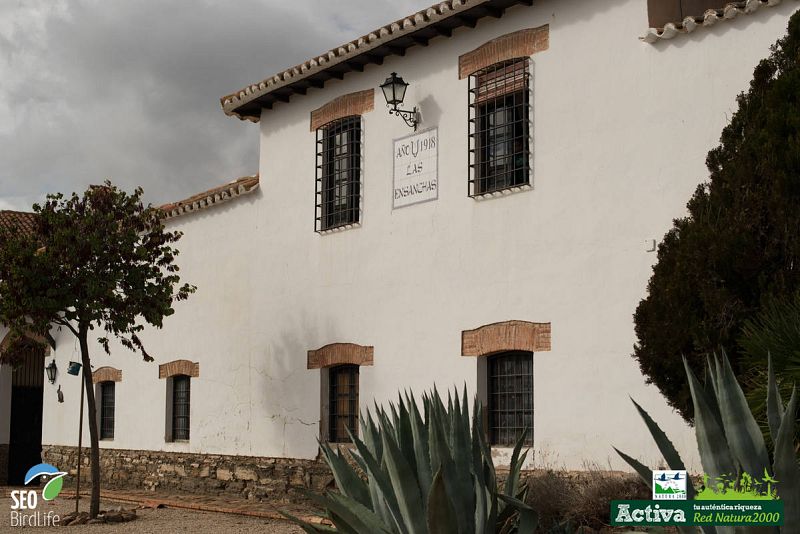  Finca las Ensanchas en Campos de Montiel