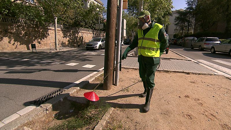 Los ayuntamientos comienzan a declararse libres de  glifosato