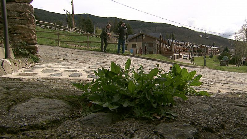 En Planoles, Gerona, han eliminado completamente los herbicidas