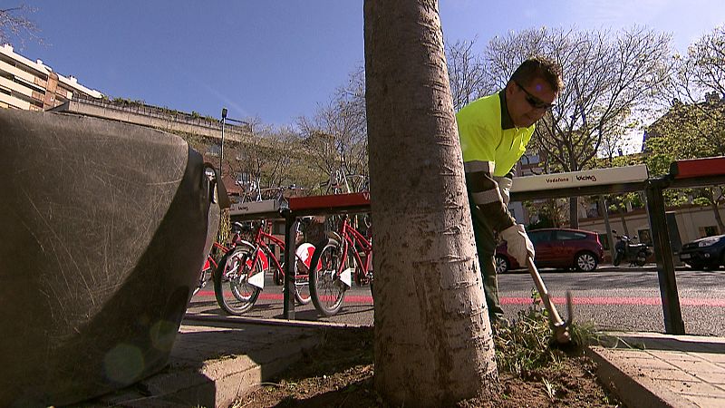 En lugar herbicidas, Barcelona regresará a las herramientas tradicionales