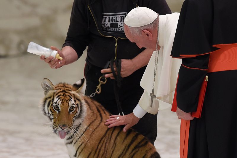 El papa recibe en audiencia a los artistas del circo