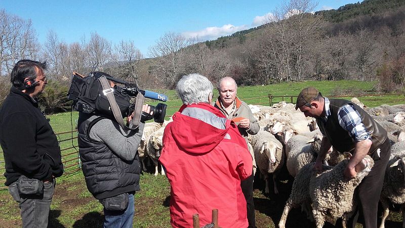 Desiderio explica la calidad de la lana merina