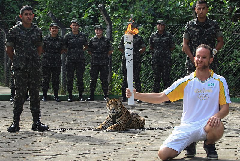 La muerte de un jaguar abatido a tiros por militares después de que este intentara atacar a su cuidador en un acto organizado por el recorrido de la antorcha olímpica en Manaos desató este martes una nueva polémica que salpica a los Juegos de Río 201