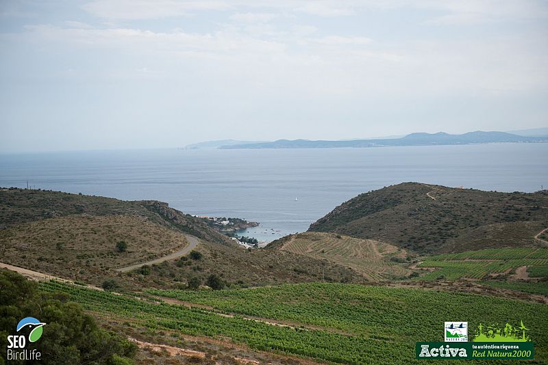 Paisaje del Cap de Creus