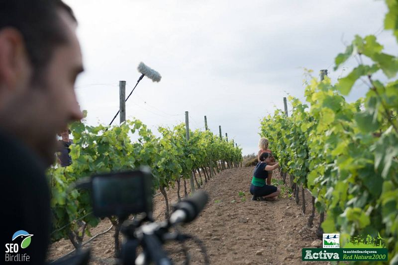  Rodaje en bodegas Espelt, Cap de Creus