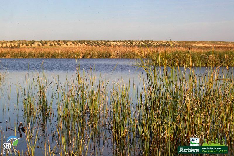  Paisaje de los Humedales de La Mancha