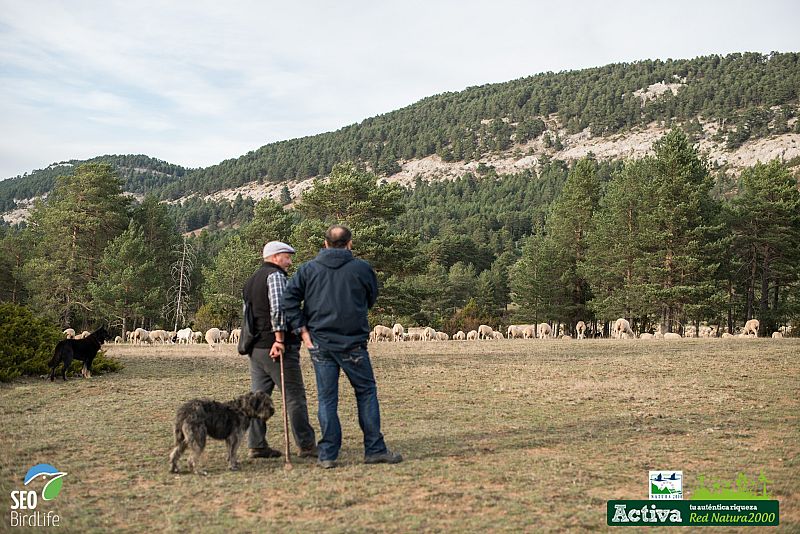 Javier con Partos en Alto Tajo y Muela de San Juan