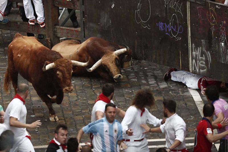 Dos toros de la ganadería de Pedraza de Yeltes a su llegada a la curva de Mercaderes