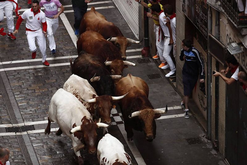 La manada de la ganadería de Pedraza de Yeltes, en sus primeros sanfermines