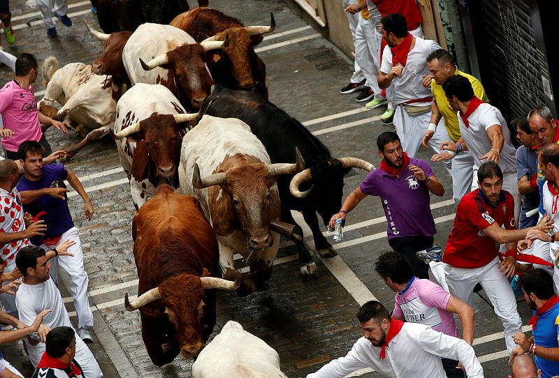 Los toros de Pedraza de Yeltes corren hermanados por la calle Estafeta