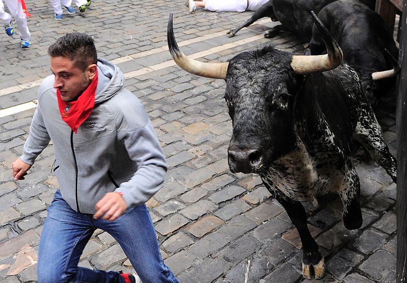 Un astado ha encabezado a la manada hasta la calle Estafeta en el sexto encierro de San Fermín 2016