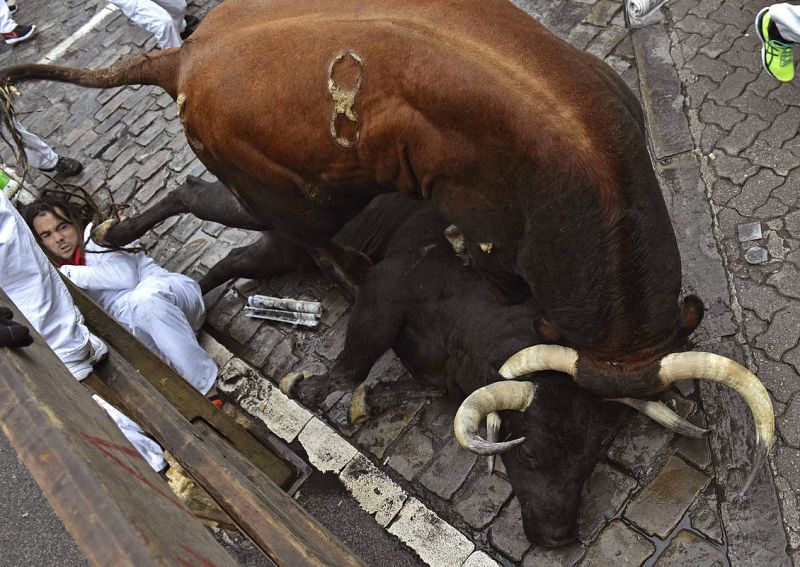 LOS TOROS DE NÚÑEZ DEL CUVILLO CORREN UN ENCIERRO RÁPIDO Y EMOCIONANTE