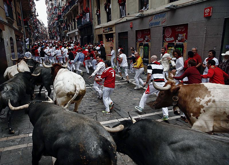 La manada de los Miura ha permanecido muy agrupada