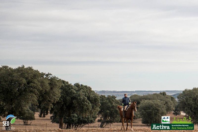  Finca el Castañar en Montes de Toledo