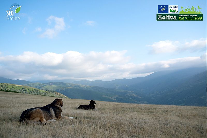 Paisaje en Cangas de Narcea