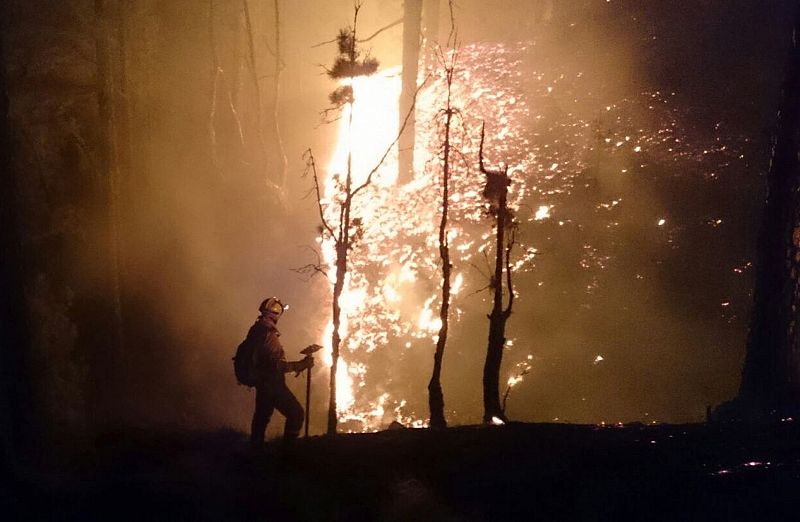 Efectivos luchando esta madrugada contra el incendio de La Palma