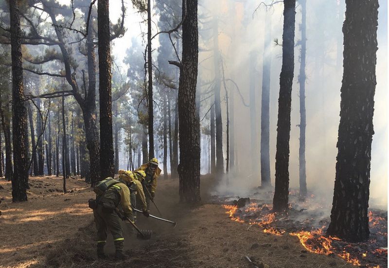 La BRIF trabaja para acabar con el ya estabilizado incendio de La Palma