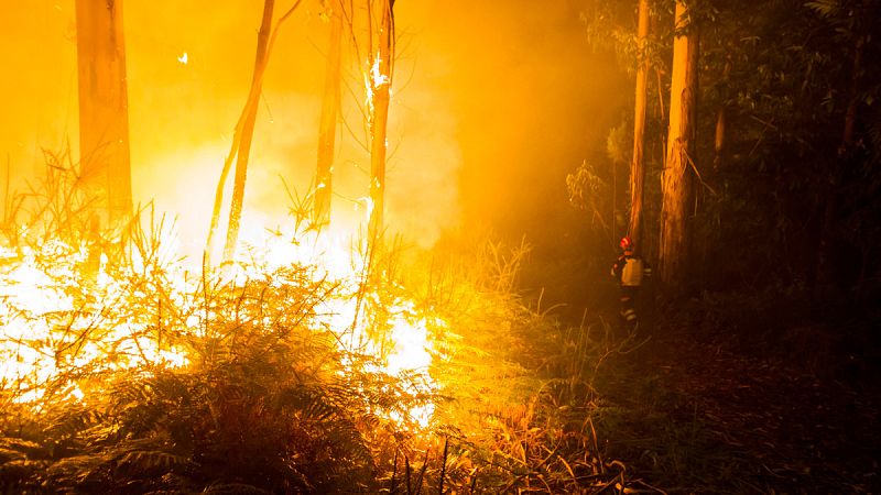 Operarios de Protección Civil de Vilagarcía luchan contra el incendio forestal declarado en Pontevedra