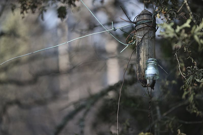 Un poste de luz aparece calcinado en el incendio de la localidad de Vilanova de Tenorio