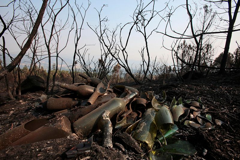 Burnt trees and glass bottles are seen after a forest fire in Crecente in the northwest Spanish region of Galicia