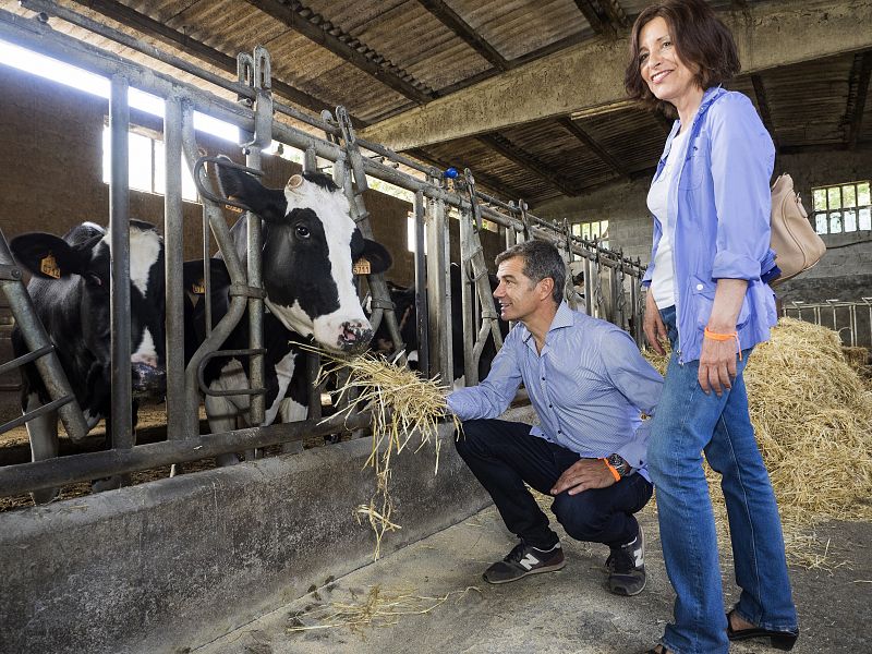 ELECCIONES GALLEGAS CIUDADANOS