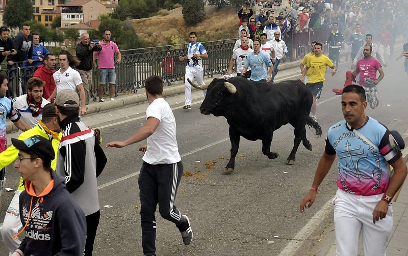 El morlaco de nombre "Pelado" protagoniza la celebración del Toro de la Peña, en Tordesillas (Valladolid).