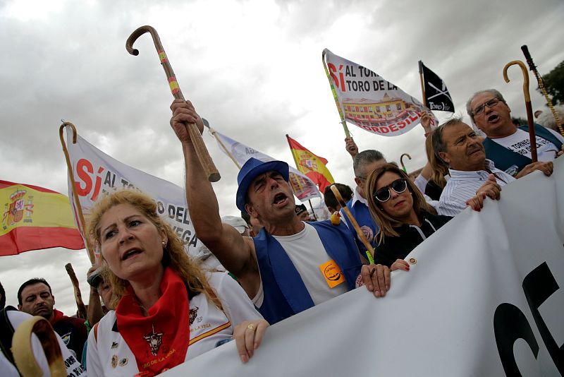 Partidarios del Toro de la Vega, en su versión tradicional con el lanceo al toro, se han manifestado reivindicando la fiesta tal y como se celebraba hasta ahora.