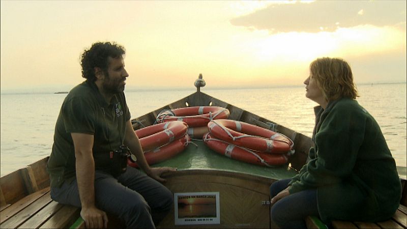 La avifauna de la Albufera, objetivo de la investigación SEO Birdlife Valencia