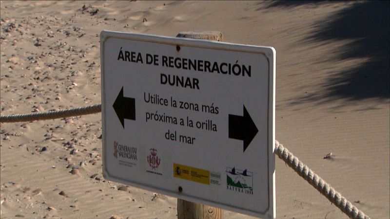 Proyecto Life Dune, Devesa del Saler, Valencia