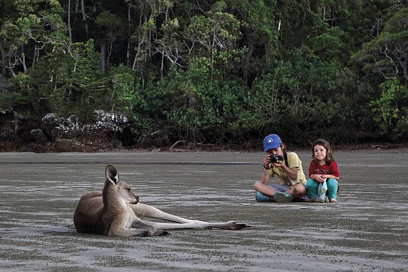 Unai y Amaia fotografían a un canguro en Australia.