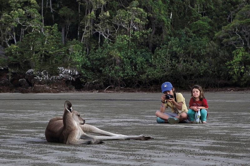 Unai y Amaia fotografían a un canguro en Australia.