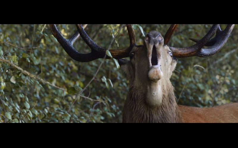 Imagen del documental ¿Les seasons¿