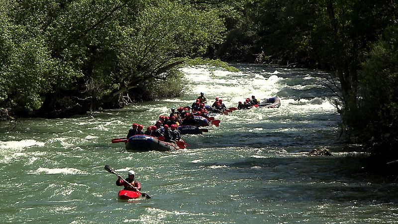 Las empressas turísticas del Pirineo ven en el oso una oportunidad para diversificar su oferta