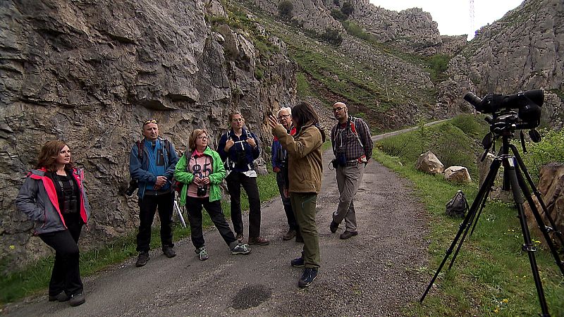 En el Parque Natural de Somiedo hay varias empresas dedicadas al avistamiento de osos