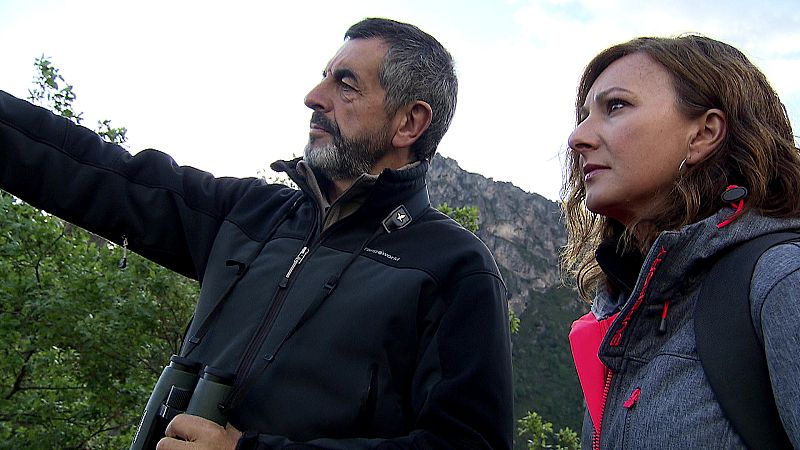 Gullermo Palomero, presidente de la Fundación Oso Pardo