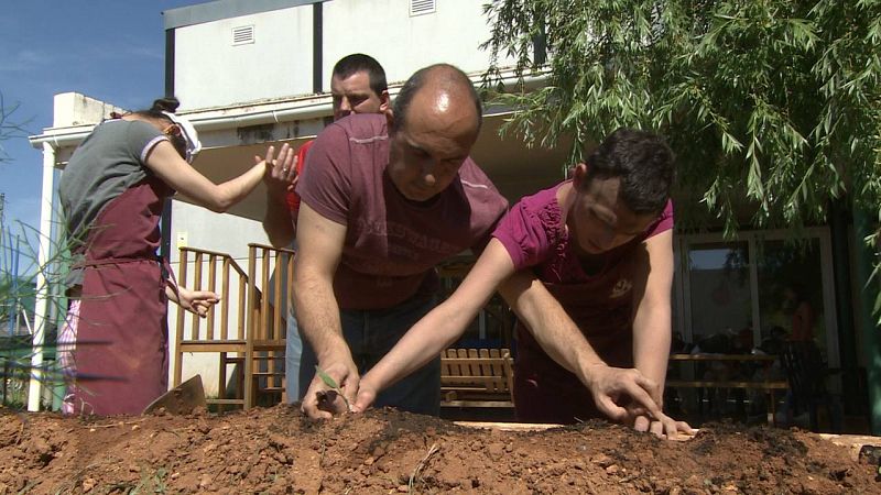 Trabajando en el huerto del centro Santa Angela de la Cruz