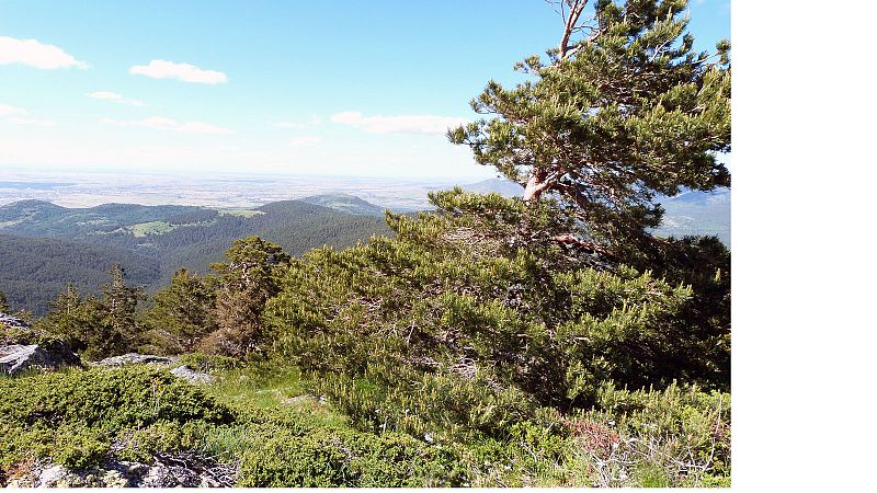 El cerro de la Comorca