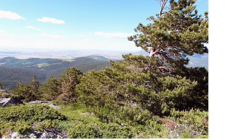 El cerro de la Comorca