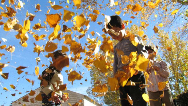 Aquí la tierra - Niños bajo las hojas