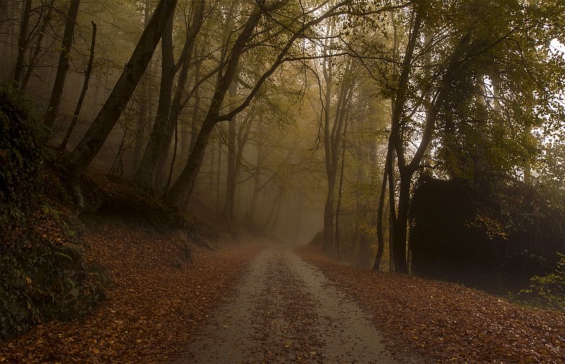 Otoño misterioso