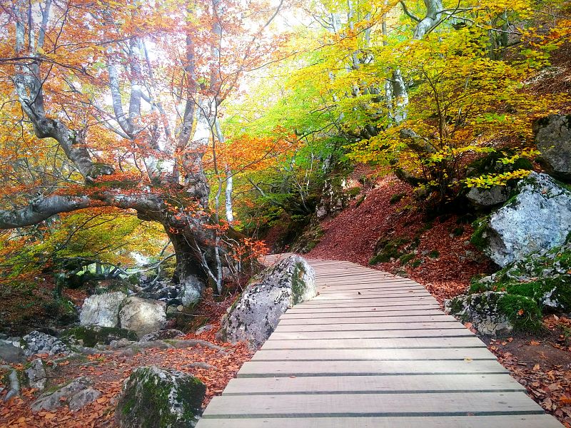 Aquí la tierra - De paseo