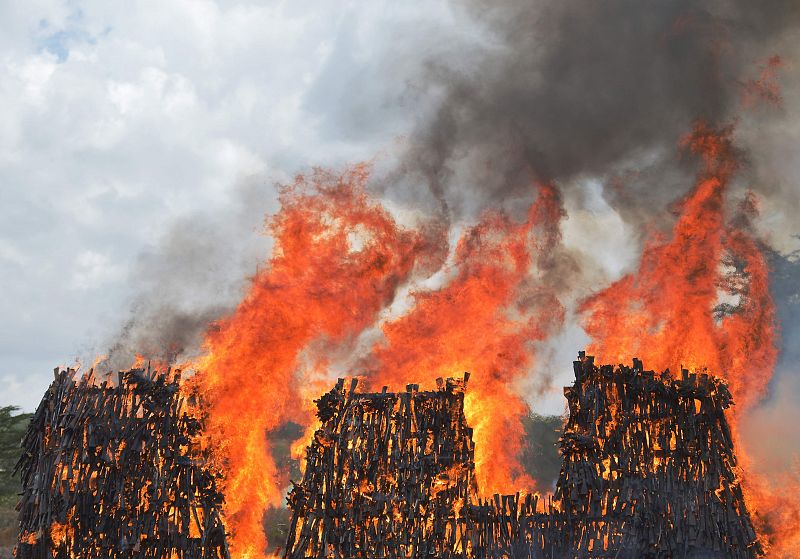 Destrucción de varias armas de fuego en Ngong, a las afueras de Nairobi (Kenia). Un total de 5.250 armas ilegales han sido destruidas por el Gobierno en un intento de parar el flujo de armamento ilegal en el país.