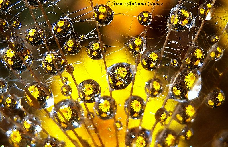 Aquí la tierra - Entre gotas