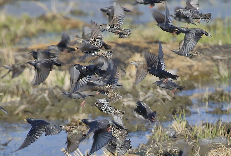 Aquí la tierra - Altos vuelos