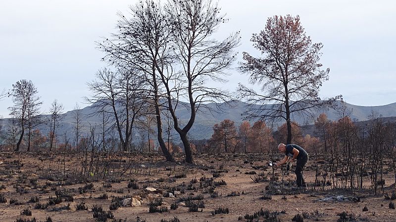 Incendio de Liétor en 2016