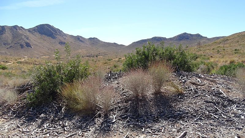 La Olla del Conejo. Sierra de los Donceles