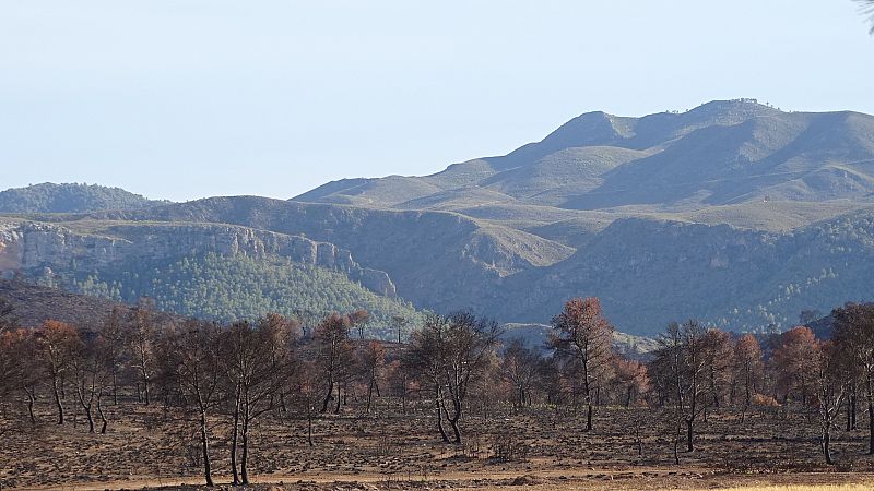 Paisaje tras el incendio de Liétor