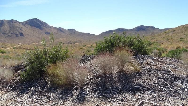 La Olla del Conejo. Sierra de los Donceles