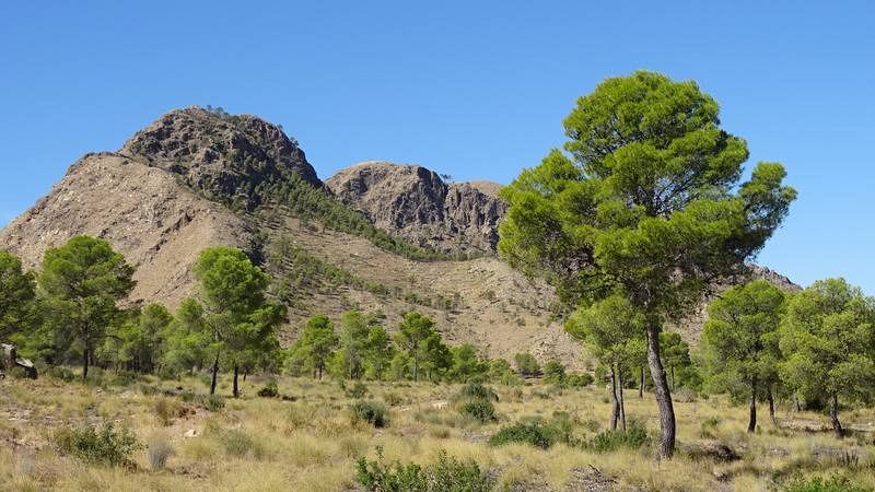Sierra de los Donceles