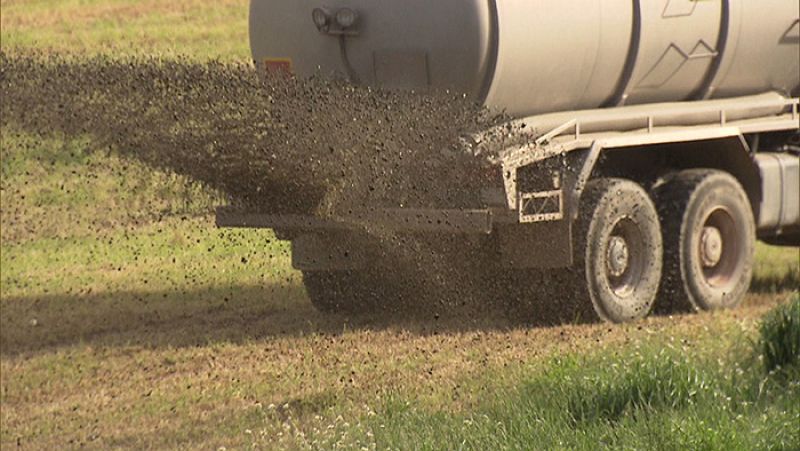 Los purines de la ganadería industrial contaminan las aguas subterráneas